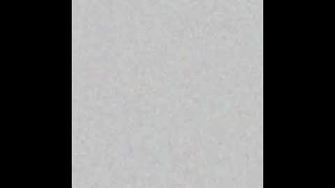 .     y e l l o w s n a k e s       . online show from March 2026 11:38:02 AM