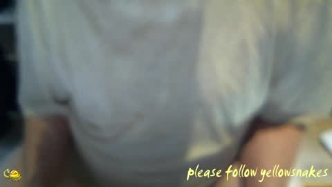 .     y e l l o w s n a k e s       . online show from April 2026 02:25:02 PM