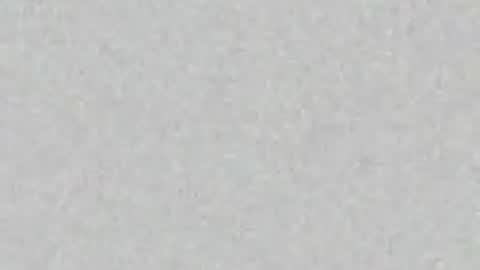 .     y e l l o w s n a k e s       . online show from May 2026 06:29:01 AM