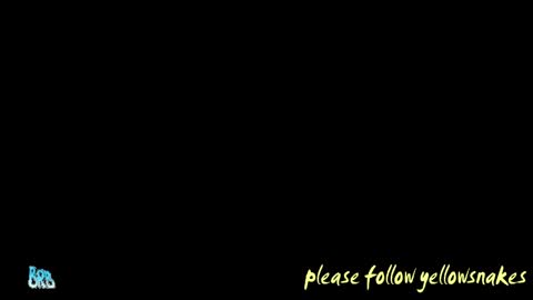 .     y e l l o w s n a k e s       . online show from May 2026 05:10:02 PM