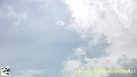 .     y e l l o w s n a k e s       . online show from June 2026 05:02:01 AM