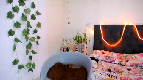 YEM online show from June 2026 04:16:02 PM
