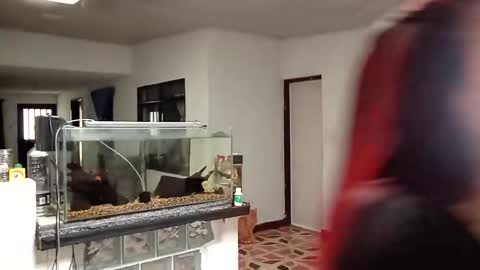 Snapshot of yesika_t chatting on January 2026 05:48:01 PM yesika_t online show from January 2026 05:48:01 PM