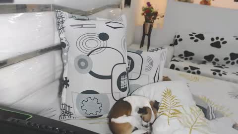 YINAROSS online show from March 2026 09:03:02 PM