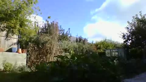 Snapshot of yoannsexmalo chatting on October 2025 01:42:02 PM Yoann online show from October 2025 01:42:02 PM