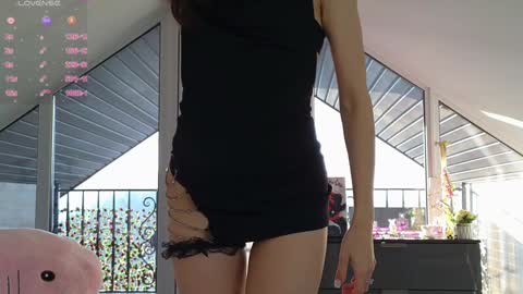 Snapshot of yononeey chatting on January 2025 01:19:02 PM Wilma online show from January 2025 01:19:02 PM