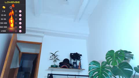 Enzo online show from January 2025 06:35:01 AM