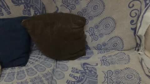 Snapshot of yosoyplex91 chatting on January 2026 11:54:02 PM AlexBlack online show from January 2026 11:54:02 PM