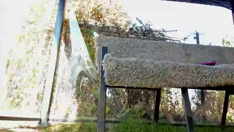 Snapshot of you_love_melisa chatting on November 2025 11:56:01 AM private on 18 per minute start private 500 tokensOnlyfans online show from November 2025 11:56:01 AM