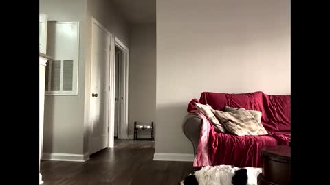 Snapshot of youneverknowimight2 chatting on October 2025 06:09:02 PM kindahorny online show from October 2025 06:09:02 PM