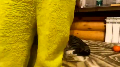 Snapshot of your_cute_friend chatting on December 2024 09:50:02 PM Fansly online show from December 2024 09:50:02 PM