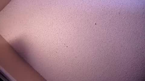 Sophiestar online show from May 2026 07:04:01 AM