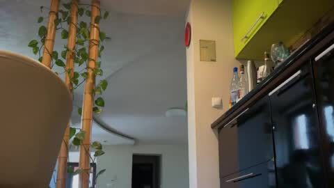 your_sex_dream_25 online show from July 2026 01:03:01 PM