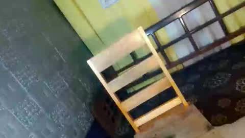 NaughtyBoy online show from November 2025 09:31:01 AM