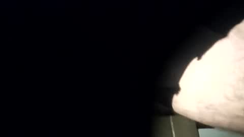 yourexpirementmale online show from July 2026 08:49:02 PM