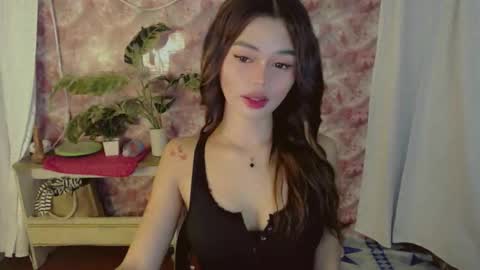 Sunshine online show from May 2026 10:56:01 AM