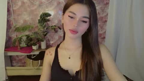 Sunshine online show from June 2026 10:31:01 AM
