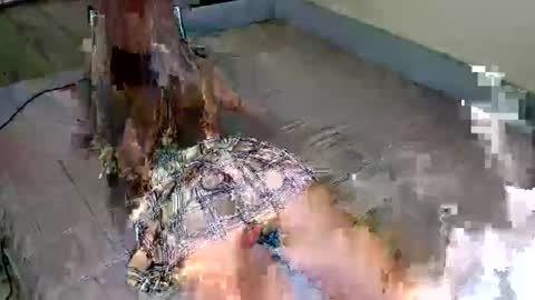 Ariella online show from May 2026 09:58:02 AM