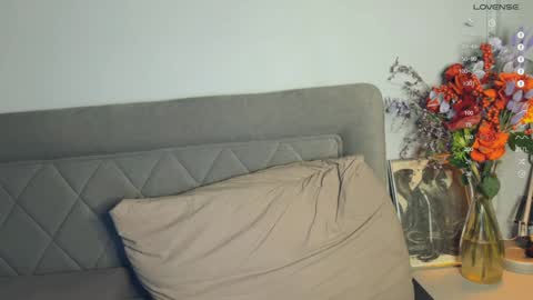 Snapshot of yourher0in chatting on February 2025 06:27:02 PM Aida online show from February 2025 06:27:02 PM