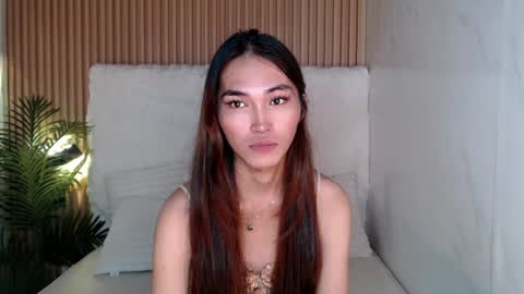    online show from July 2026 02:05:17 AM