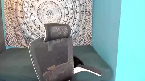 YourVenus00 -Follow my OF online show from July 2026 11:38:02 AM