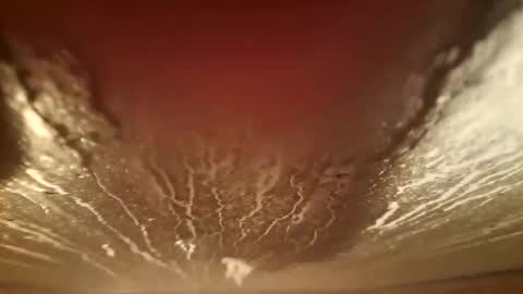 Snapshot of youth505 chatting on December 2025 02:20:01 AM youth505 online show from December 2025 02:20:01 AM