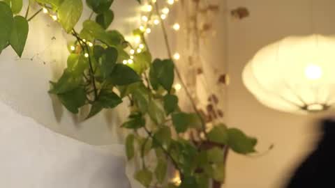 yulla dao online show from February 2025 04:31:01 PM