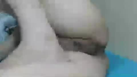 yummy72747 online show from July 2026 10:32:02 AM