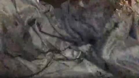 Snapshot of yungin470 chatting on February 2026 08:46:01 AM yungin470 online show from February 2026 08:46:01 AM