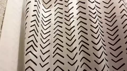 yungstudbev online show from March 2026 01:05:01 PM