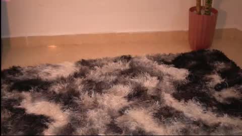 Yuyi Cam online show from December 2025 03:15:02 AM