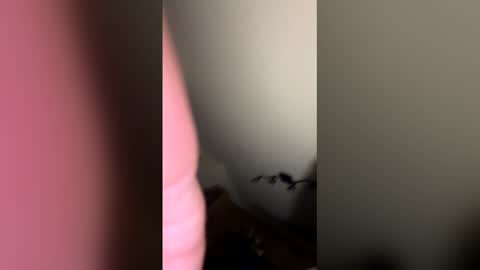 zachmurphbigboy online show from March 2026 03:41:02 AM