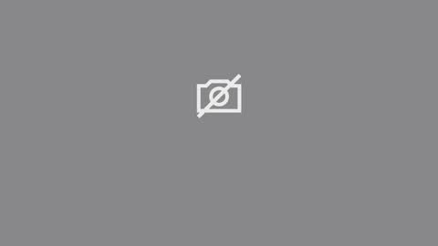 Zack King online show from January 2026 05:49:02 PM