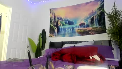 Snapshot of zack_piphermax chatting on March 2026 12:17:02 PM Zack Pipher online show from March 2026 12:17:02 PM