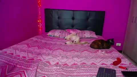 ZARA ANYELINA online show from December 2024 12:33:02 PM