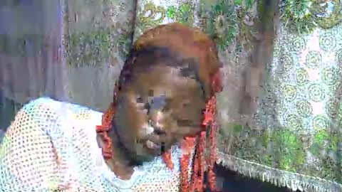 zarinamarlin online show from March 2026 08:19:02 PM