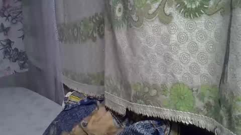 zarinamarlin online show from May 2026 06:21:02 AM