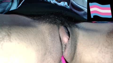 Zeldris online show from December 2024 04:17:01 PM