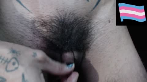 Zeldris online show from December 2024 11:12:02 PM