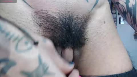 Zeldris online show from February 2025 02:16:02 PM