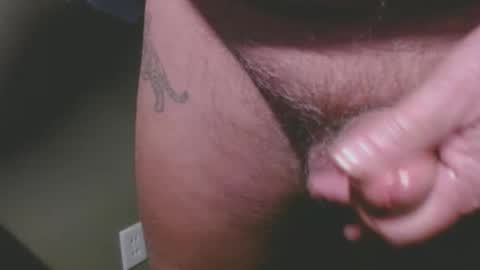 bambi cumslut online show from January 2026 12:35:01 AM