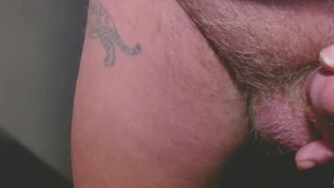 bambi cumslut online show from January 2026 08:56:01 PM