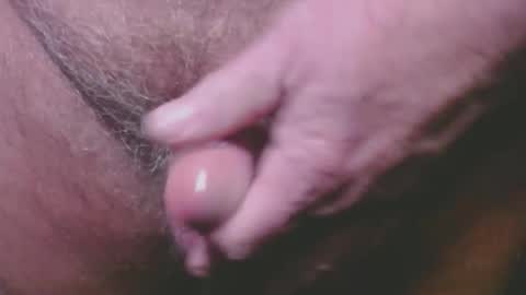 bambi cumslut online show from February 2026 02:09:02 AM