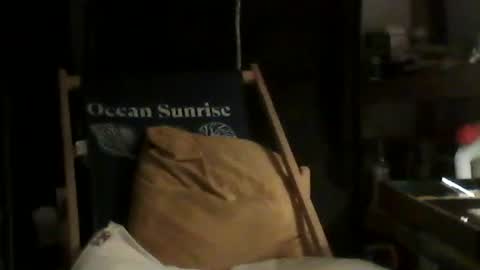 Snapshot of zesty231 chatting on September 2025 03:30:02 AM zesty231 online show from September 2025 03:30:02 AM