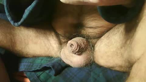 Snapshot of zevioo77 chatting on December 2024 08:16:02 AM zevioo77 online show from December 2024 08:16:02 AM