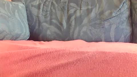 Snapshot of zevioo77 chatting on January 2025 12:08:01 PM zevioo77 online show from January 2025 12:08:01 PM