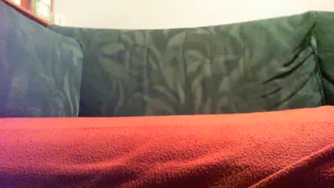 Snapshot of zevioo77 chatting on September 2025 08:11:02 PM zevioo77 online show from September 2025 08:11:02 PM