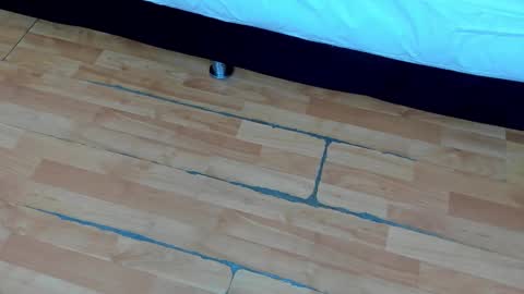 zia online show from February 2025 12:17:02 PM