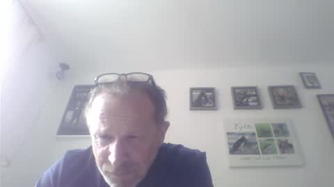 Zippi online show from July 2026 01:29:02 PM