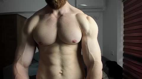 Zack Blitz online show from June 2026 08:50:01 AM